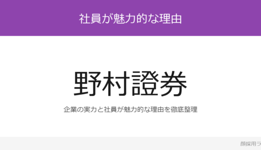 野村證券の女性社員は美人と話題？能力ベース企業の採用基準を解説